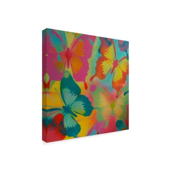 Abstract Graffiti 'Butterflies' Canvas Art,24x24